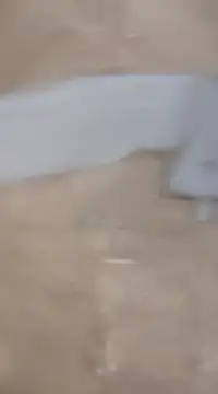 laxmitelugu78 online show from 02-02-25, 07:25