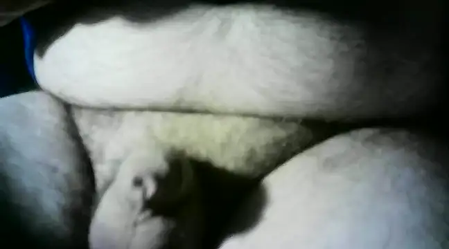 Snapshot of Azrael_12 chatting on 01-30-25, 04:34 Azrael 12 online show from 01-30-25, 04:34