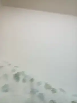 1997YuMa online show from 03-20-25, 10:51