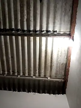 LoonyIdiot online show from 04-08-26, 03:17