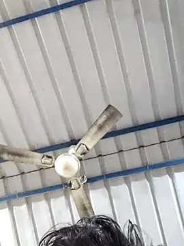 birds0641 online show from 02-25-25, 05:52