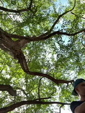 arevalo1124 online show from 12-05-25, 03:52