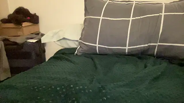 shineofcrazy online show from 11-21-25, 12:32