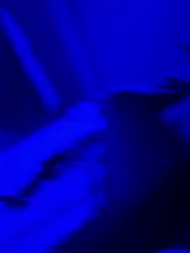 bigbola304 online show from 03-31-26, 02:13