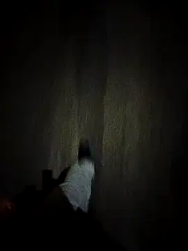 dominationmybigdick online show from 10-27-25, 09:30