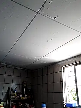 xdandan69 online show from 02-13-25, 04:39