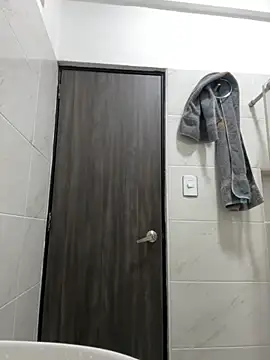 Snapshot of akirahattori chatting on 11-17-25, 04:07 akirahattori online show from 11-17-25, 04:07