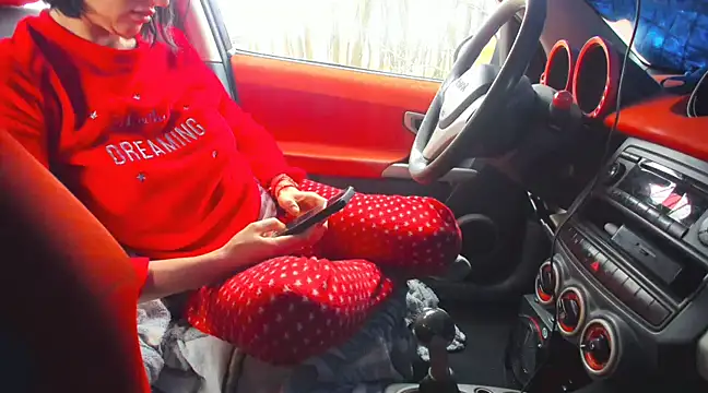 Fairy outdoor online show from 03-02-25, 11:18