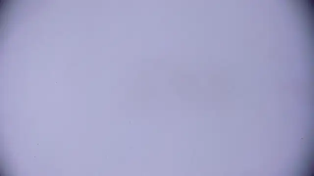 Snapshot of Ashlyaurora chatting on 03-20-25, 07:58 Ashlyaurora online show from 03-20-25, 07:58