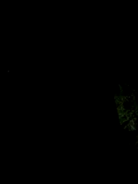 hintly online show from 10-29-25, 11:12