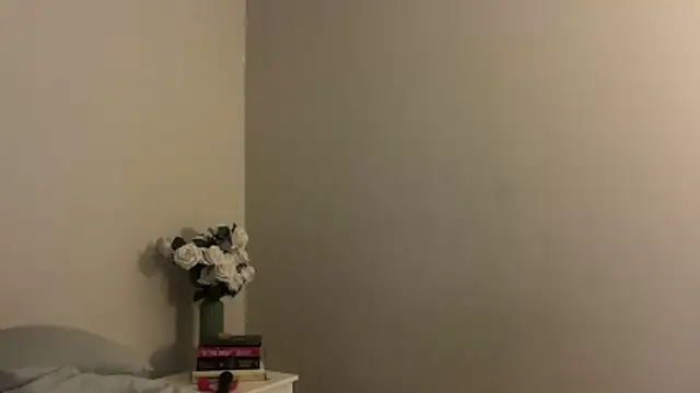 Snapshot of skyejde chatting on 11-28-25, 04:31 skyejde online show from 11-28-25, 04:31