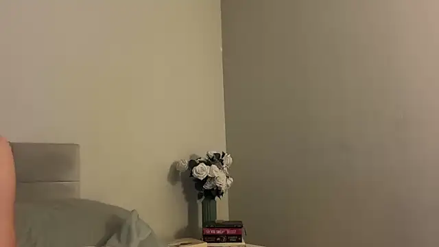 Snapshot of skyejde chatting on 12-04-25, 05:21 skyejde online show from 12-04-25, 05:21