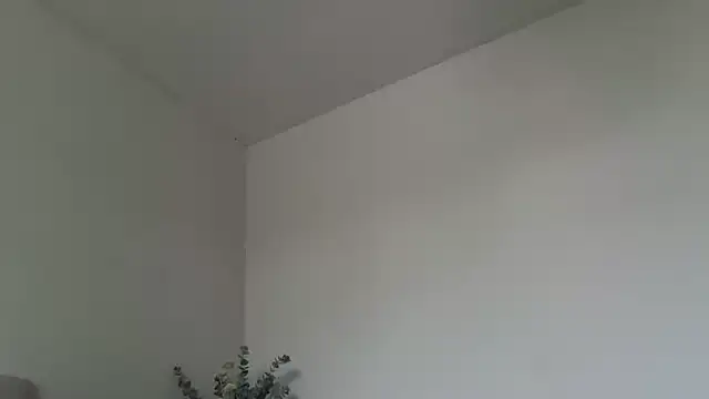 Snapshot of skyejde chatting on 03-02-26, 04:25 skyejde online show from 03-02-26, 04:25