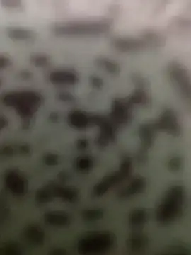 Yashkumar 0697 online show from 10-13-25, 08:42