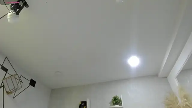 EmiliaRose  online show from 04-10-26, 08:46