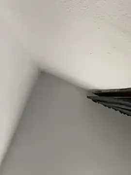 morfeoX online show from 04-18-26, 09:35