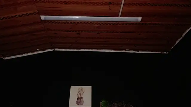 fyreandfox  online show from 11-18-25, 06:56