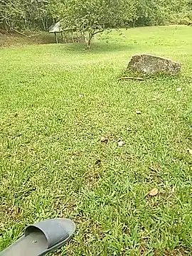 Snapshot of Mycansonhot chatting on 10-23-25, 04:50 Mycansonhot online show from 10-23-25, 04:50