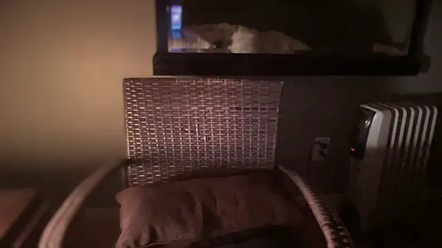 Snapshot of DominantDong chatting on 02-28-25, 11:25 DominantDong online show from 02-28-25, 11:25