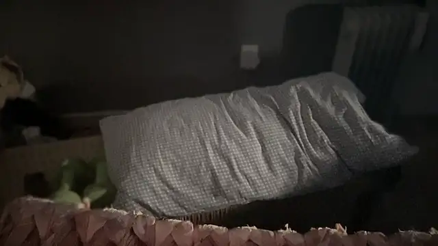 Snapshot of DominantDong chatting on 03-09-25, 11:56 DominantDong online show from 03-09-25, 11:56