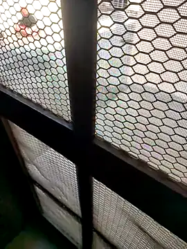 indian couple4 online show from 02-07-26, 08:40