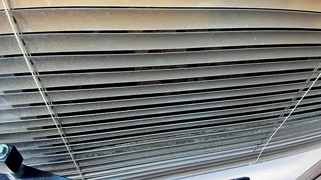 SaraClub JY online show from 10-21-25, 10:43