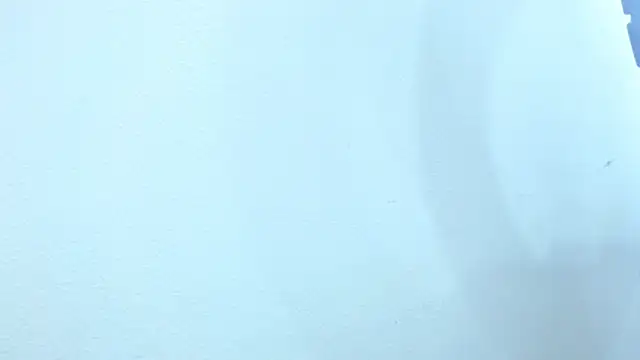 Snapshot of sebastian_colle chatting on 02-26-25, 12:03 sebastian colle online show from 02-26-25, 12:03