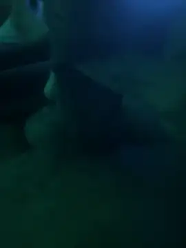 Liam Canales online show from 04-21-26, 04:52