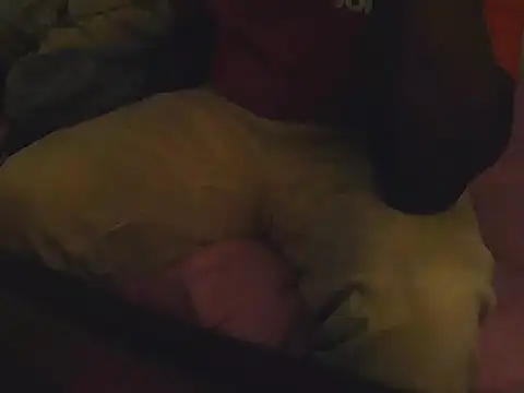 Fuckmehardandcloudy online show from 03-21-26, 08:45