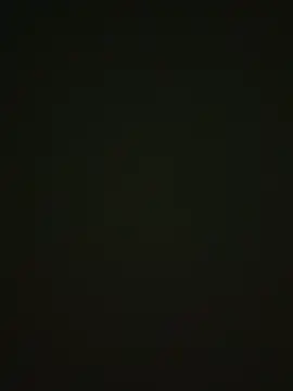 464a-err online show from 11-12-25, 04:40