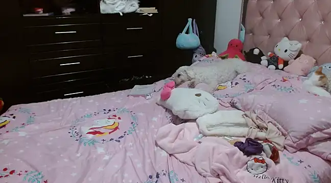 Snapshot of hellokitty__valery chatting on 03-23-25, 06:26 hellokitty valery online show from 03-23-25, 06:26