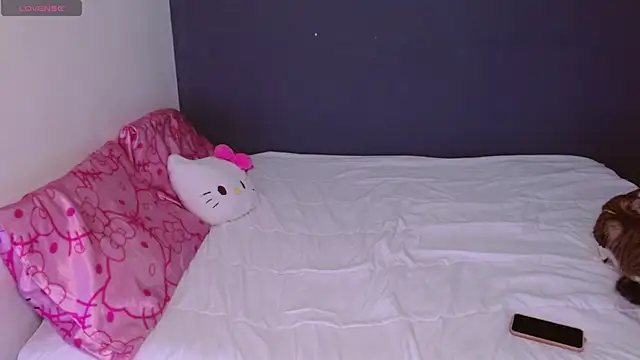 Snapshot of hellokitty__valery chatting on 10-26-25, 03:45 hellokitty valery online show from 10-26-25, 03:45