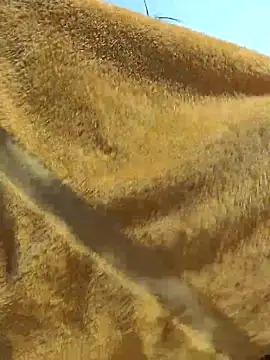 Tocameamor online show from 02-21-26, 09:05