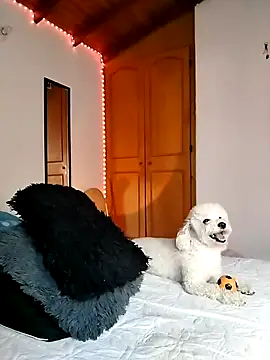 morenosiam online show from 11-23-25, 09:36