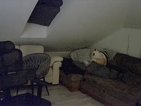 Snapshot of gryzoon chatting on 10-11-25, 12:43 gryzoon online show from 10-11-25, 12:43