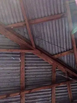 Snapshot of Ladyzee25 chatting on 11-26-25, 09:05 Ladyzee25 online show from 11-26-25, 09:05