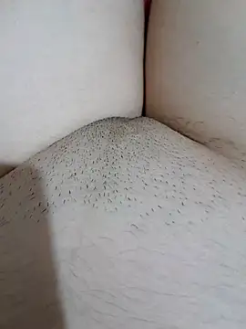 yakot7 online show from 10-31-25, 12:11