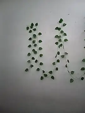 Neha-Bhabhi-Rasily online show from 12-17-25, 07:47