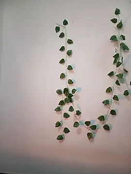 Neha-Bhabhi-Rasily online show from 02-18-26, 11:17