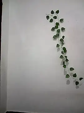 Neha-Bhabhi-Rasily online show from 04-06-26, 04:52