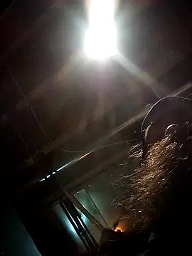 Snapshot of SirJonBradley chatting on 09-19-25, 10:49 SirJonBradley online show from 09-19-25, 10:49