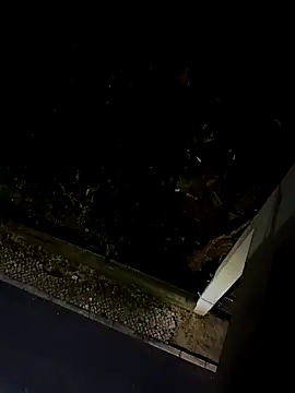 BUTTerflyTODAY online show from 04-22-26, 01:52