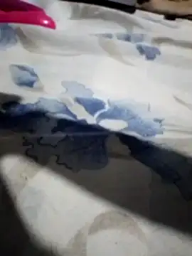 Snapshot of Sandra42 chatting on 11-14-25, 09:52 Sandra42 online show from 11-14-25, 09:52