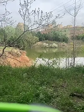 shaovu online show from 04-06-26, 06:25