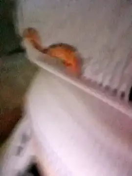 patrona sexooo online show from 10-11-25, 12:58