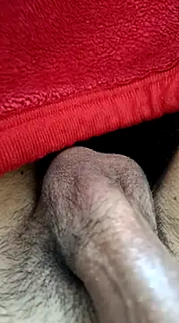 Jaipuri Boy online show from 03-21-25, 10:06