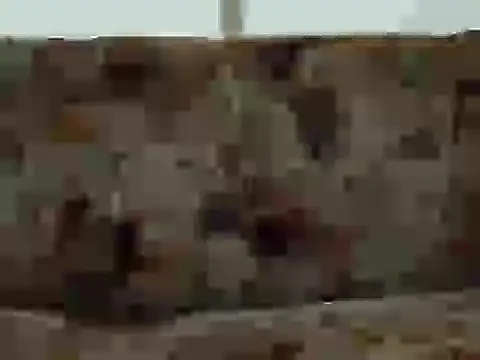 priya patel online show from 09-12-25, 07:19