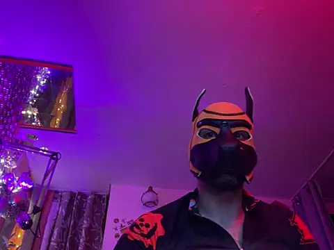 Snapshot of danix_wild_wolf chatting on 12-20-25, 04:30 danix wild wolf online show from 12-20-25, 04:30