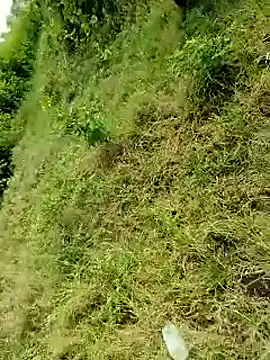 himvilohi08 online show from 10-06-25, 04:10