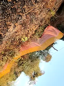 himvilohi08 online show from 03-25-26, 12:44